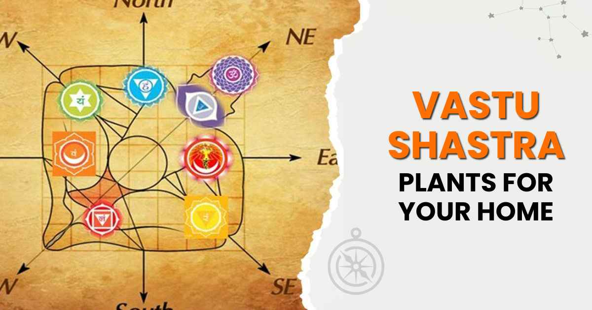 Vastu Shastra Best Plants for Your Home