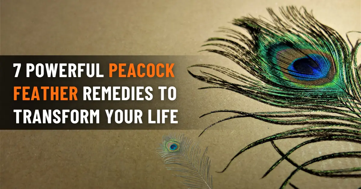 7 Powerful Peacock Feather Remedies to Transform Your Life